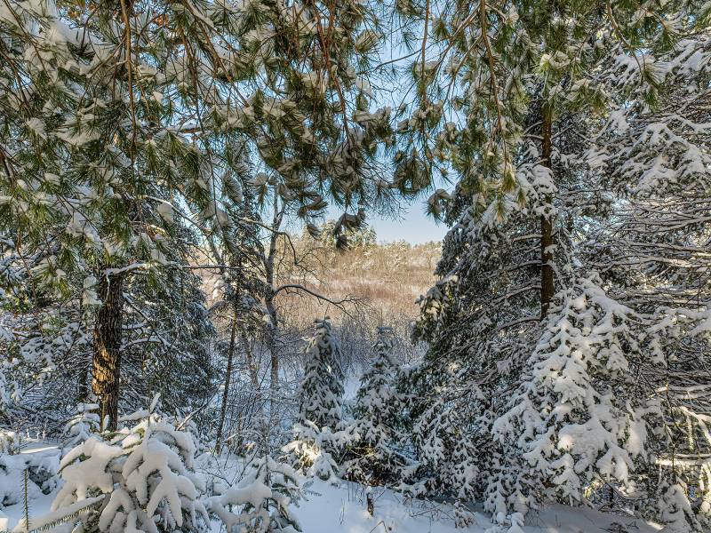 611 N Dyer Farm Rd, , Eagle River,  WI 54521 United States