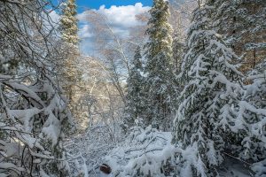 611 N Dyer Farm Rd, , Eagle River,  WI 54521 United States