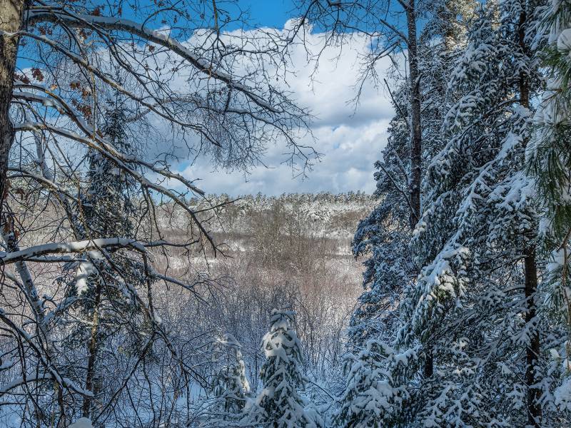 611 N Dyer Farm Rd, , Eagle River,  WI 54521 United States