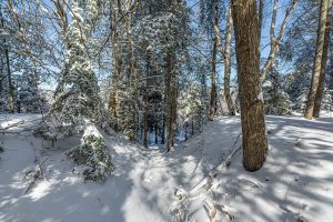 611 N Dyer Farm Rd, , Eagle River,  WI 54521 United States