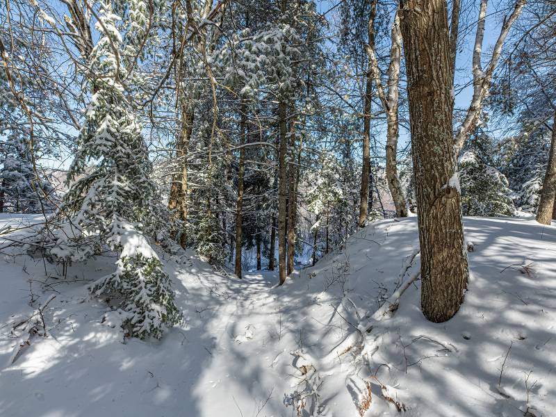 611 N Dyer Farm Rd, , Eagle River,  WI 54521 United States