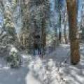 611 N Dyer Farm Rd, , Eagle River,  WI 54521 United States