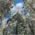 611 N Dyer Farm Rd, , Eagle River,  WI 54521 United States