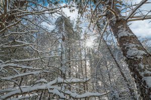 611 N Dyer Farm Rd, , Eagle River,  WI 54521 United States