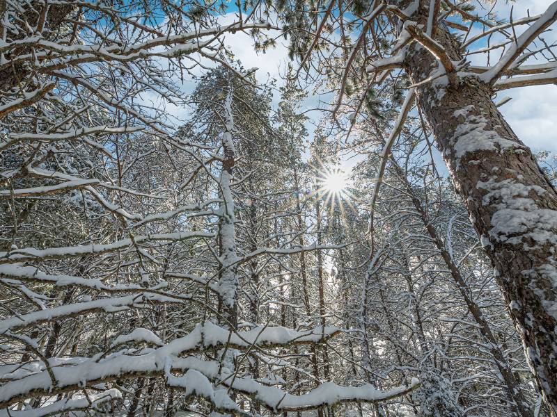 611 N Dyer Farm Rd, , Eagle River,  WI 54521 United States