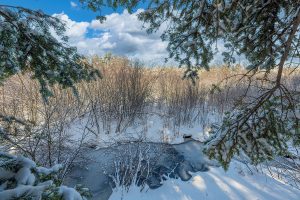 611 N Dyer Farm Rd, , Eagle River,  WI 54521 United States