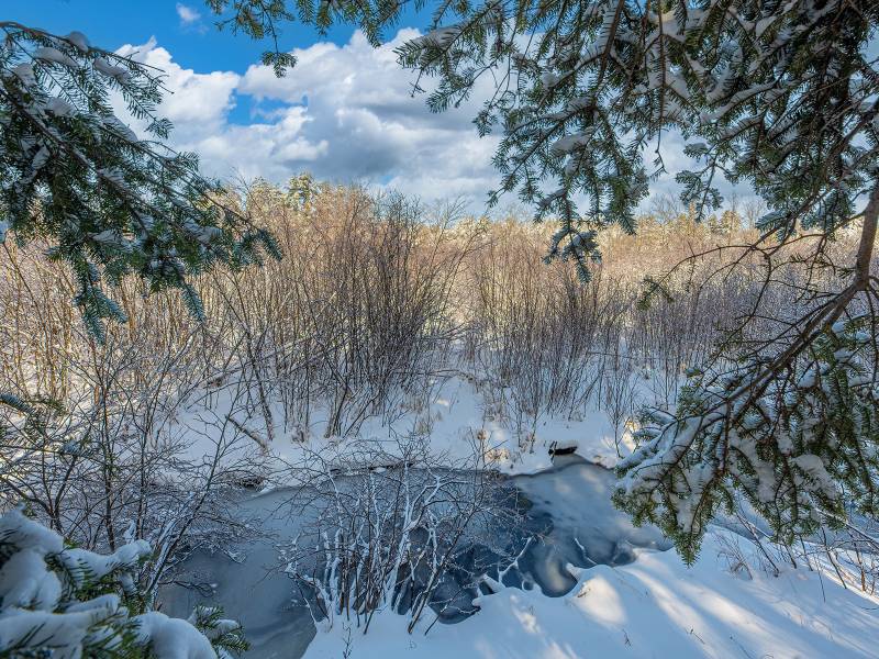 611 N Dyer Farm Rd, , Eagle River,  WI 54521 United States