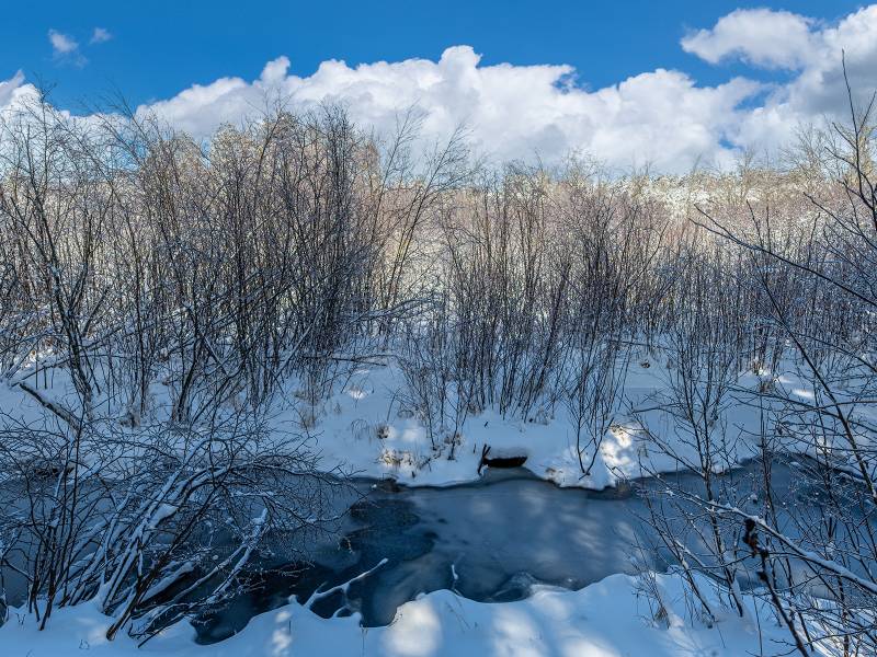 611 N Dyer Farm Rd, , Eagle River,  WI 54521 United States