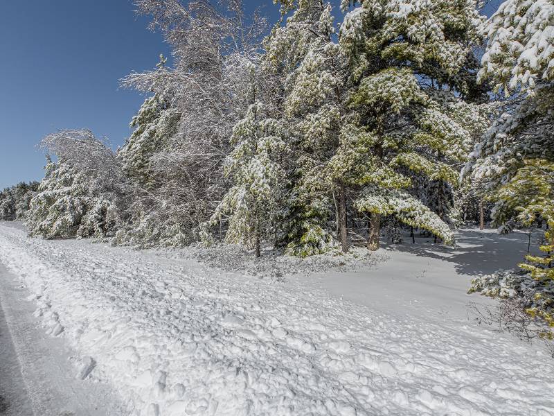 611 N Dyer Farm Rd, , Eagle River,  WI 54521 United States