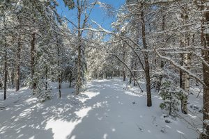611 N Dyer Farm Rd, , Eagle River,  WI 54521 United States