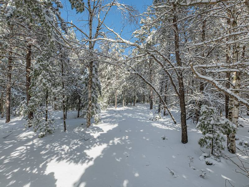 611 N Dyer Farm Rd, , Eagle River,  WI 54521 United States