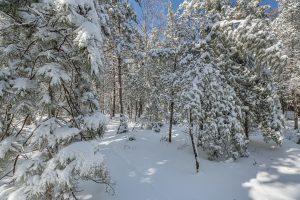 611 N Dyer Farm Rd, , Eagle River,  WI 54521 United States