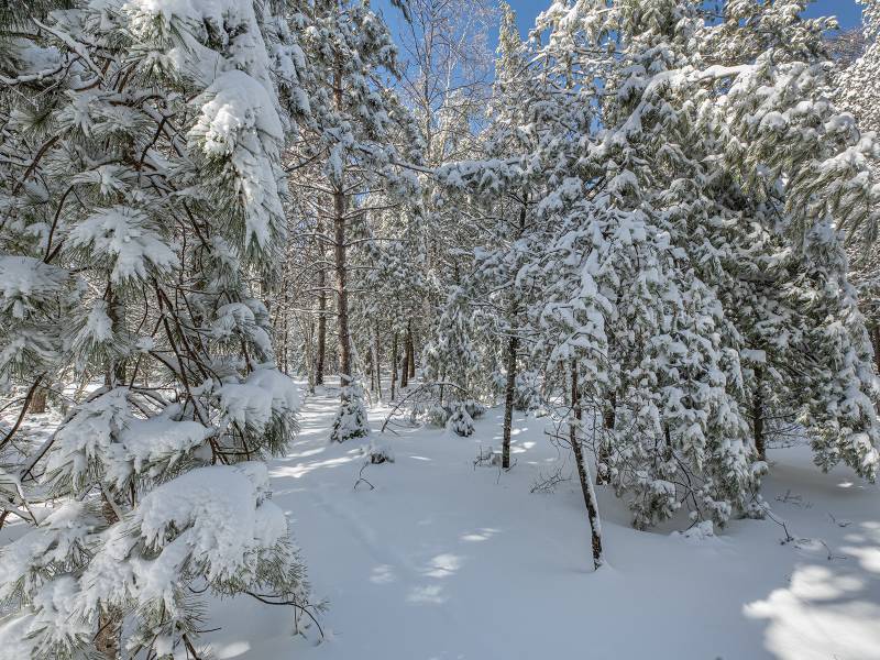 611 N Dyer Farm Rd, , Eagle River,  WI 54521 United States
