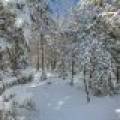 611 N Dyer Farm Rd, , Eagle River,  WI 54521 United States