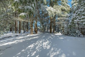611 N Dyer Farm Rd, , Eagle River,  WI 54521 United States
