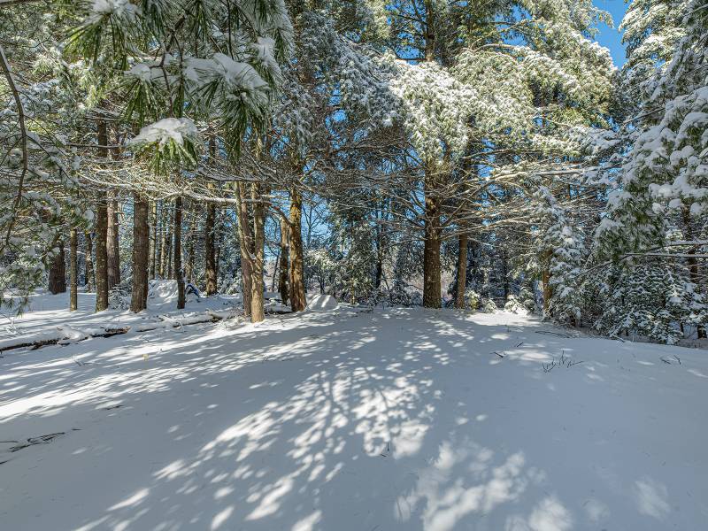 611 N Dyer Farm Rd, , Eagle River,  WI 54521 United States