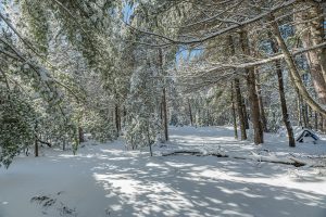 611 N Dyer Farm Rd, , Eagle River,  WI 54521 United States