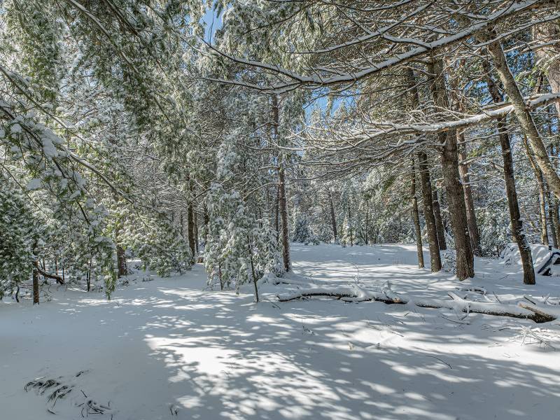 611 N Dyer Farm Rd, , Eagle River,  WI 54521 United States