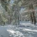 611 N Dyer Farm Rd, , Eagle River,  WI 54521 United States