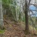 611 N Dyer Farm Rd, , Eagle River,  WI 54521 United States