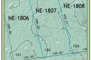 7136 Timber Ln, , Newbold,  WI 54539 United States