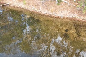 1 Snooks Ln, , St Germain,  WI 54558 United States