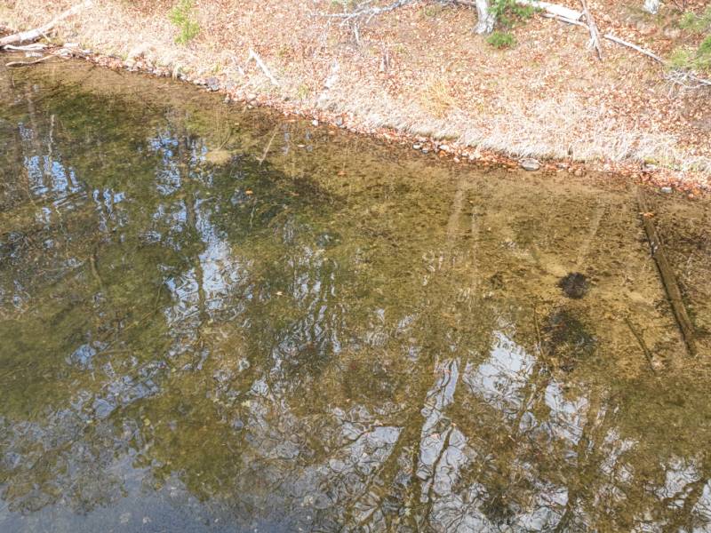 1 Snooks Ln, , St Germain,  WI 54558 United States