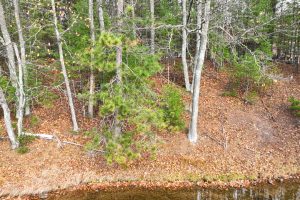 1 Snooks Ln, , St Germain,  WI 54558 United States