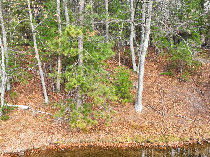 1 Snooks Ln, , St Germain,  WI 54558 United States