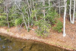 1 Snooks Ln, , St Germain,  WI 54558 United States