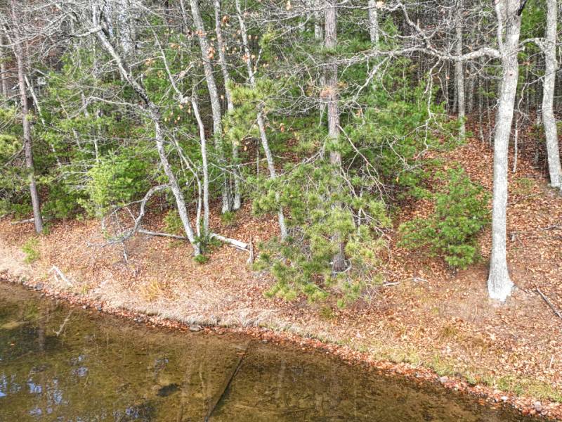 1 Snooks Ln, , St Germain,  WI 54558 United States