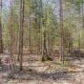 1 Snooks Ln, , St Germain,  WI 54558 United States