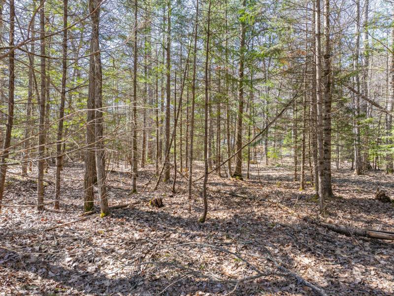 1 Snooks Ln, , St Germain,  WI 54558 United States