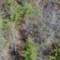 1 Snooks Ln, , St Germain,  WI 54558 United States