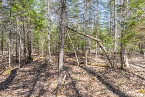 1 Snooks Ln, , St Germain,  WI 54558 United States