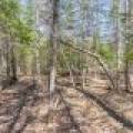 1 Snooks Ln, , St Germain,  WI 54558 United States