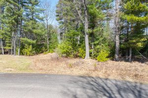17 On Aquila Ct, , Eagle River,  WI 54521 United States