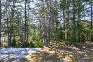 17 On Aquila Ct, , Eagle River,  WI 54521 United States