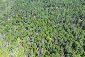 2 Off Watersmeet Lake Rd, , Eagle River,  WI 54521 United States