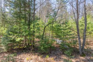 2 Off Watersmeet Lake Rd, , Eagle River,  WI 54521 United States