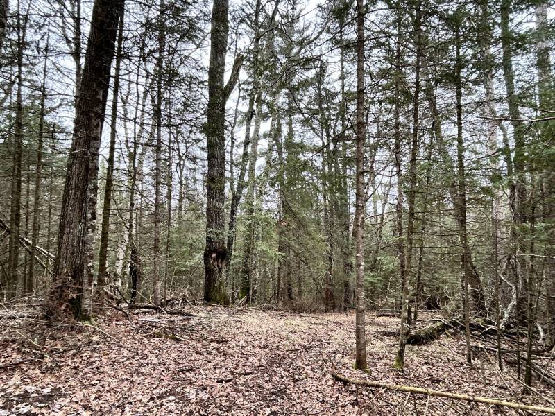 Off Old Hwy 70, , St Germain,  WI 54558 United States
