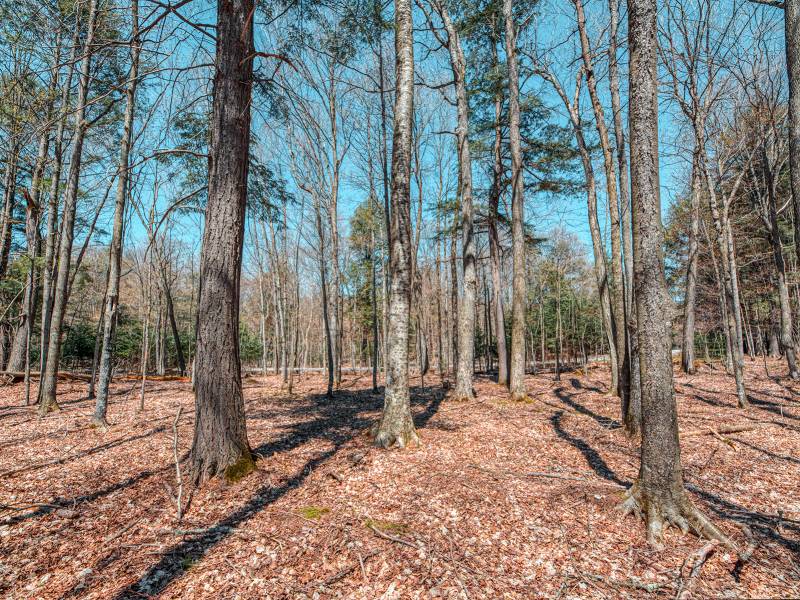 1.3ac Off Connors Rd, , Three Lakes,  WI 54562 United States