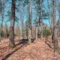 1.3ac Off Connors Rd, , Three Lakes,  WI 54562 United States