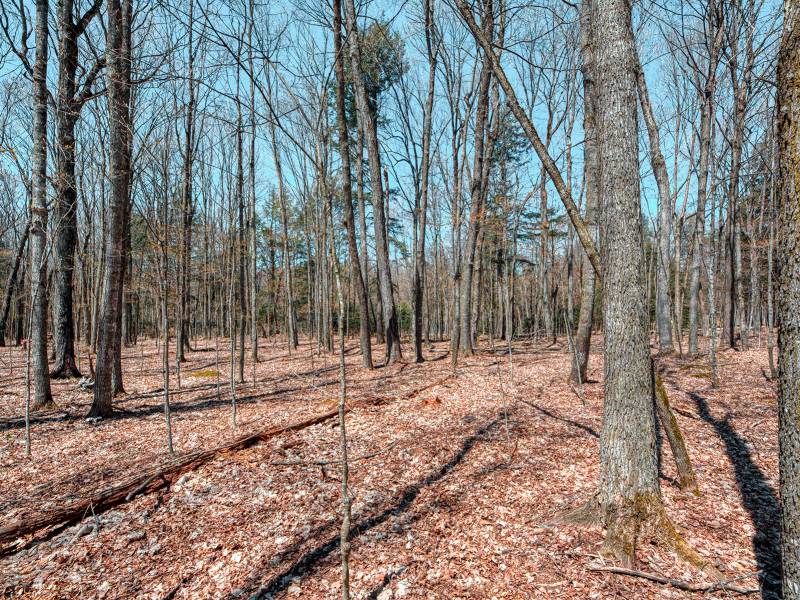 1.3ac Off Connors Rd, , Three Lakes,  WI 54562 United States