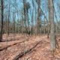 1.3ac Off Connors Rd, , Three Lakes,  WI 54562 United States