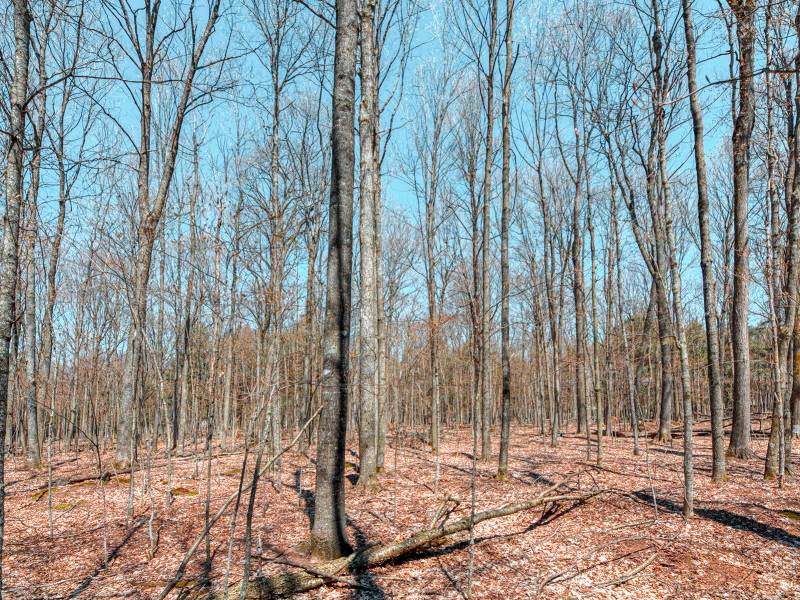 1.3ac Off Connors Rd, , Three Lakes,  WI 54562 United States