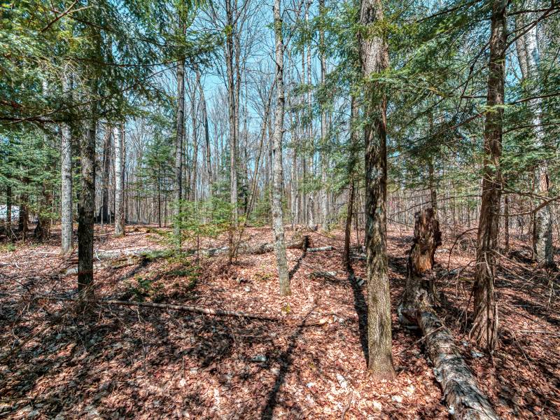 1.3ac Off Connors Rd, , Three Lakes,  WI 54562 United States