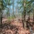 1.3ac Off Connors Rd, , Three Lakes,  WI 54562 United States