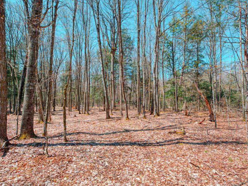 1.3ac Off Connors Rd, , Three Lakes,  WI 54562 United States