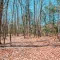 1.3ac Off Connors Rd, , Three Lakes,  WI 54562 United States